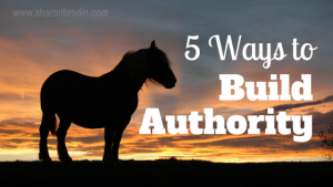 ways to build authority