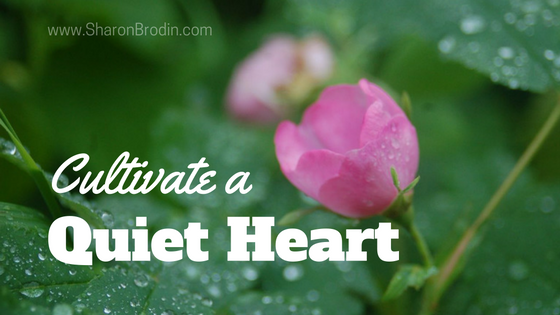 cultivate a quiet heart