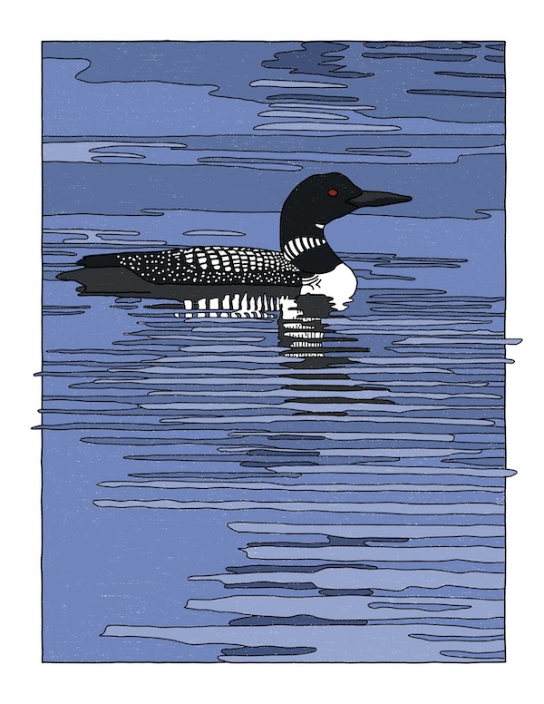 loon