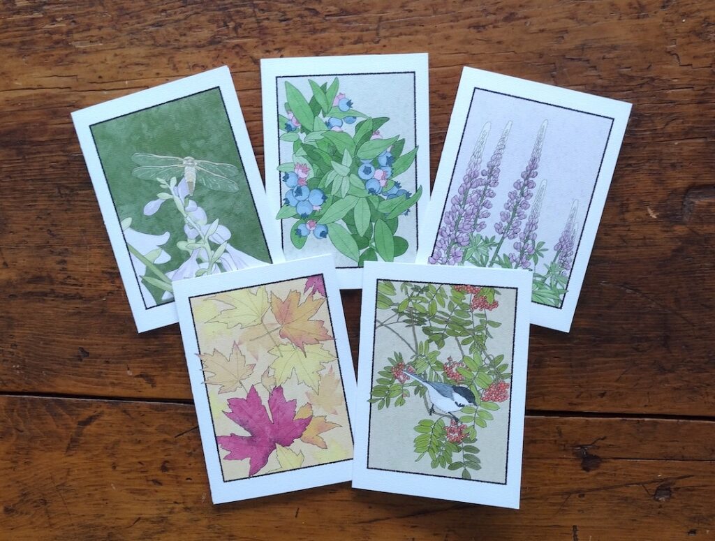 Brodin Press greeting card set of 5: dragonfly, blueberries, lupine, fall leaves, chickadee and mountain ash