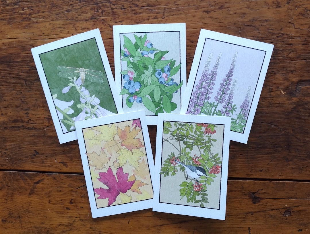 Brodin Press set of five greeting cards