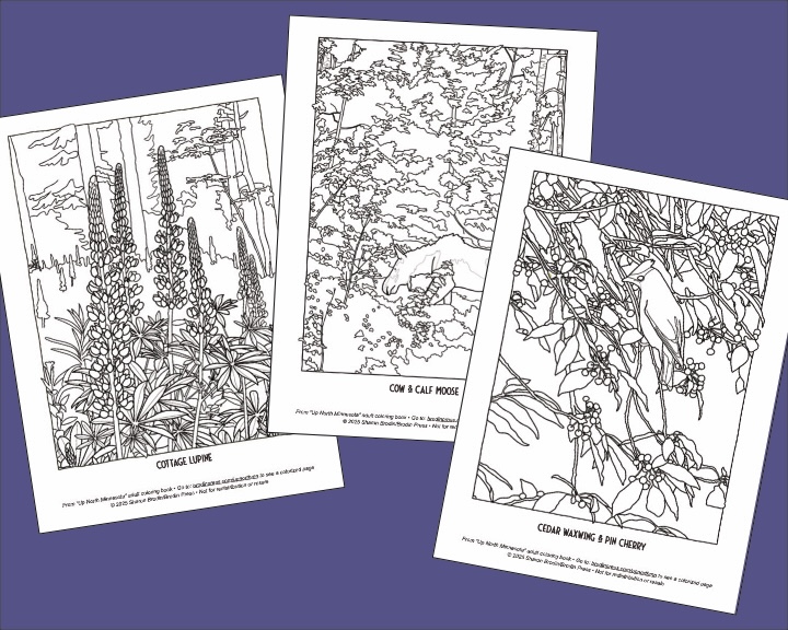 3 sample coloring pages for free download