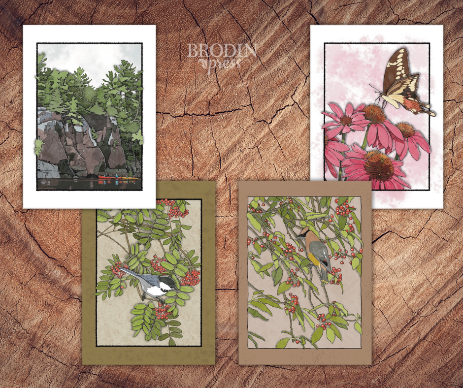 Brodin Press Fall 2025 greeting card collection of four cards based on nature