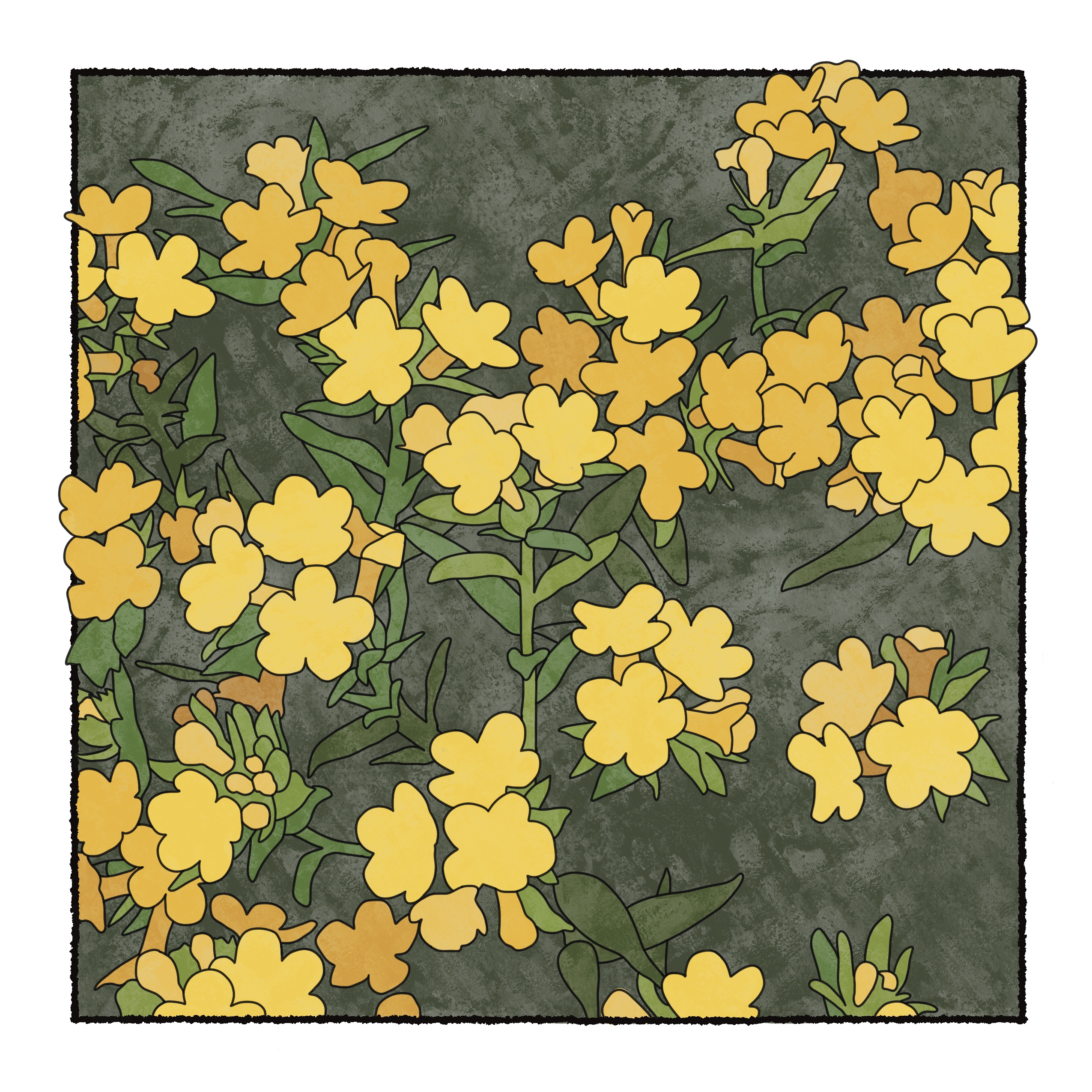 digital painting of hoary puccoon